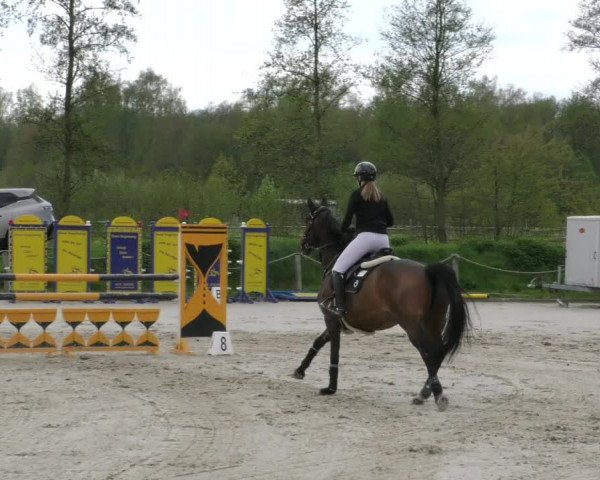 Reitturnier Handorf 2023