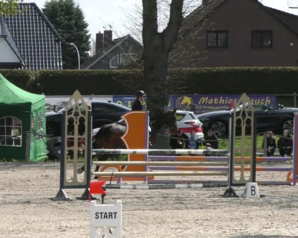 Reitturnier Handorf 2023
