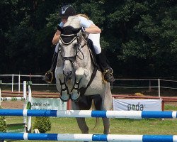jumper White Danger (KWPN (Royal Dutch Sporthorse), 1999)