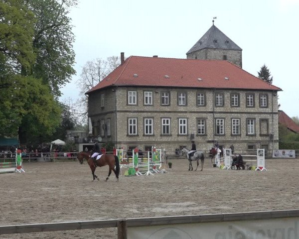 Reitturnier Hildesheim-Steuerwald 2023
