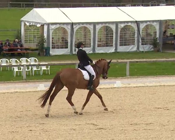 Reitturnier Gut Bohmerhof/Obb. 2023