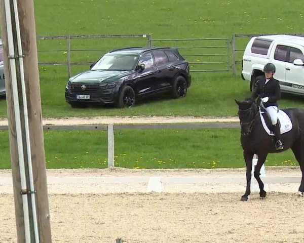 Reitturnier Gut Bohmerhof/Obb. 2023