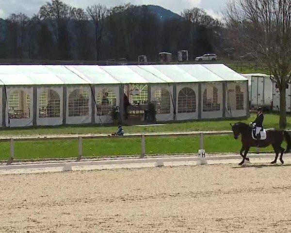 Reitturnier Gut Bohmerhof/Obb. 2023
