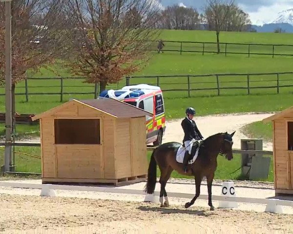 Reitturnier Gut Bohmerhof/Obb. 2023