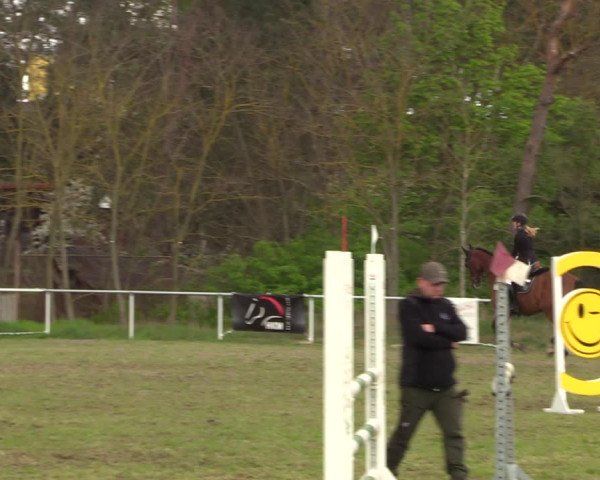 Reitturnier Colbitz 2023