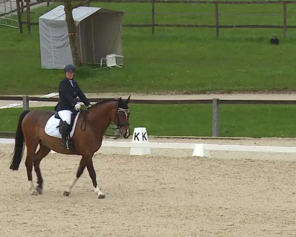 Reitturnier Gut Bohmerhof/Obb. 2023