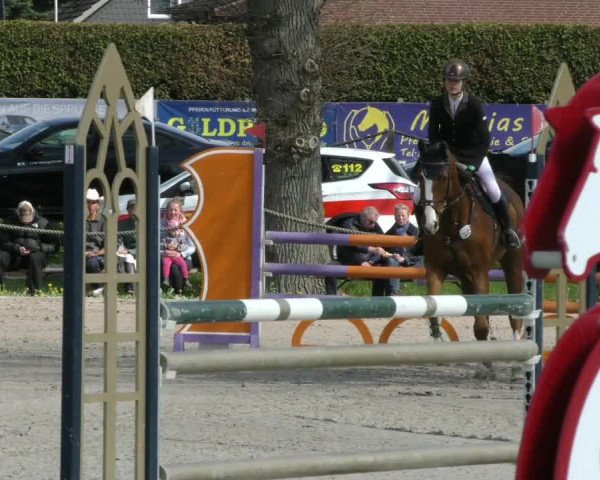 Reitturnier Handorf 2023