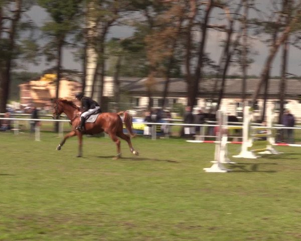 Reitturnier Colbitz 2023