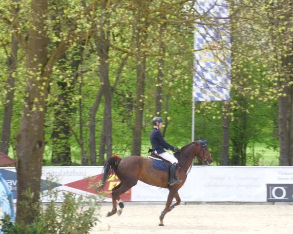 Reitturnier Karlsfeld 2023