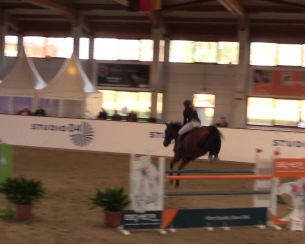 Reitturnier Prussendorf 2021