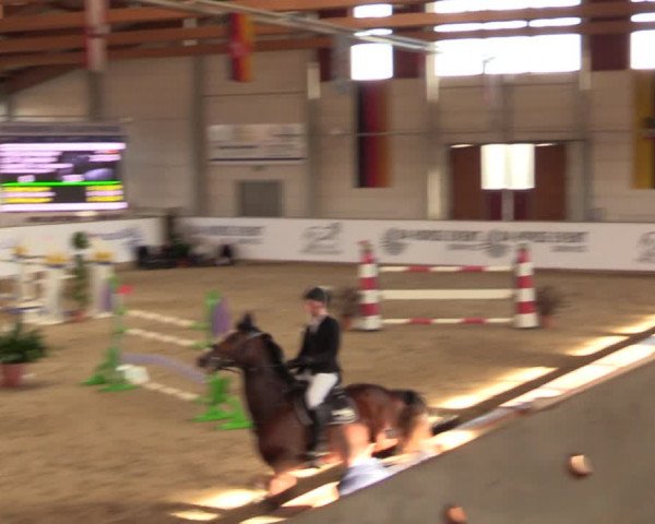 Reitturnier Prussendorf 2021