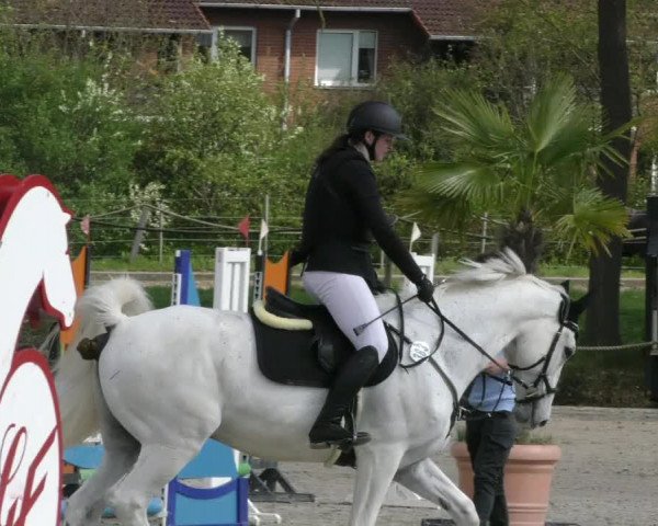Reitturnier Handorf 2023
