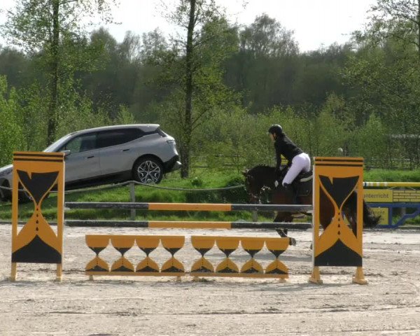 Reitturnier Handorf 2023
