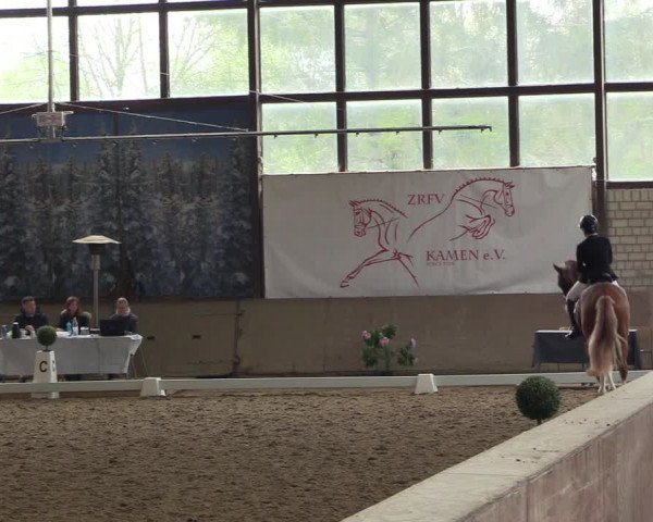 Reitturnier Kamen 2023