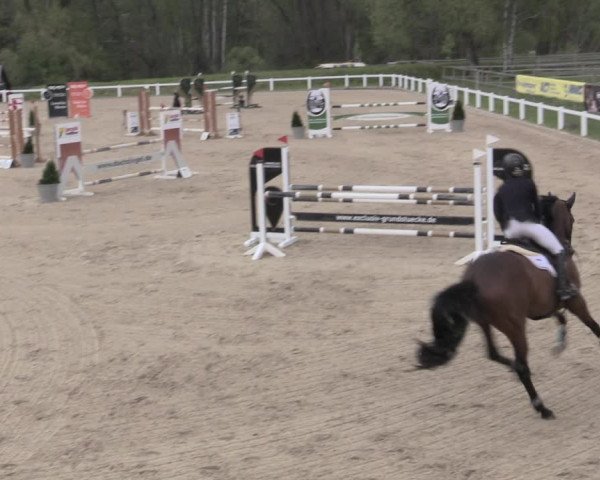 Reitturnier Oberkaufungen 2023