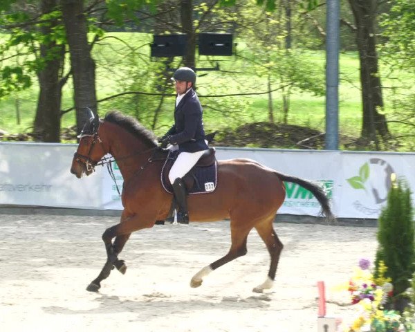Reitturnier Karlsfeld 2023