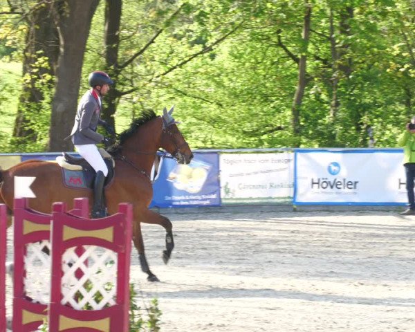 Reitturnier Karlsfeld 2023