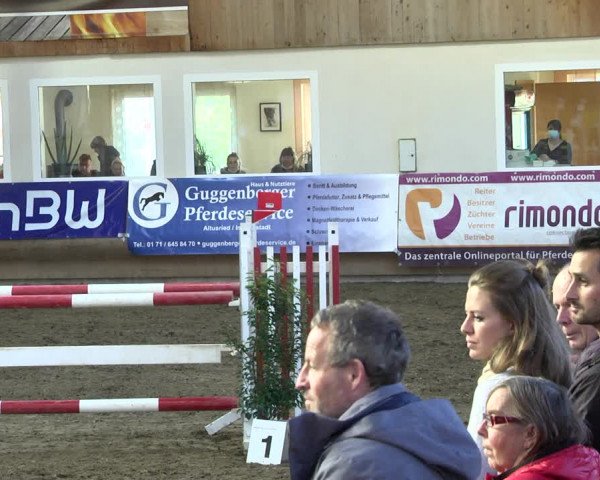 Reitturnier Schwendi 2021