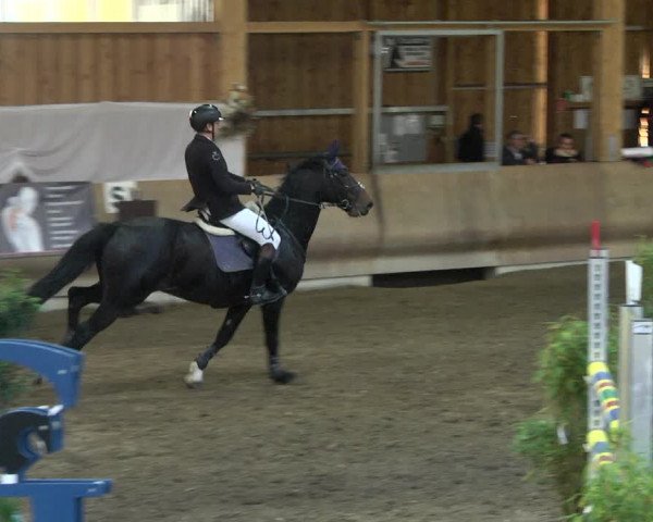Reitturnier Schwendi 2021