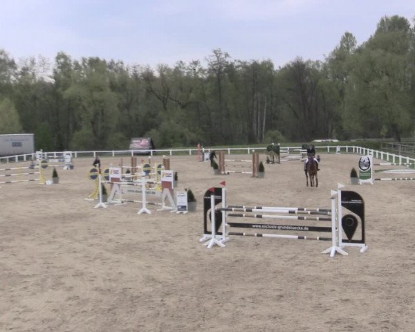 Reitturnier Oberkaufungen 2023