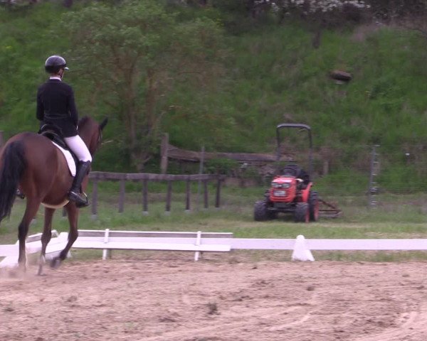 Reitturnier Colbitz 2023