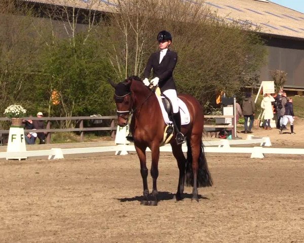 Reitturnier Kleinsolt 2023