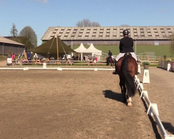 Reitturnier Kleinsolt 2023