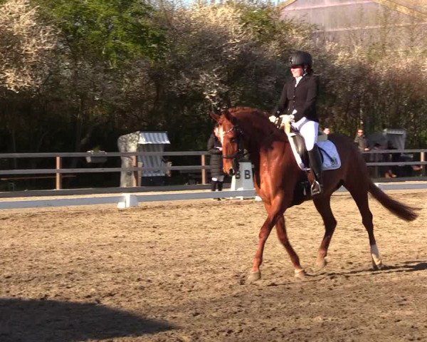 Reitturnier Kleinsolt 2023
