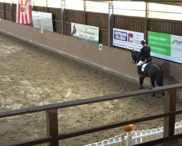 Reitturnier Scharnebeck 2021