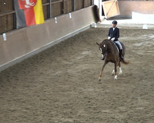 Reitturnier Scharnebeck 2021