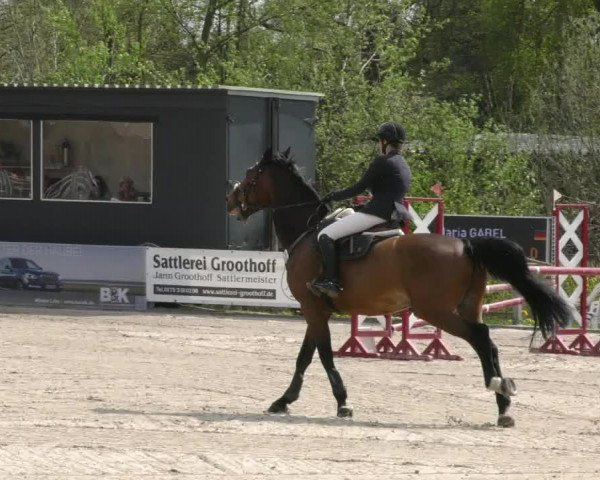 Reitturnier Handorf 2023