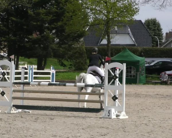 Reitturnier Handorf 2023