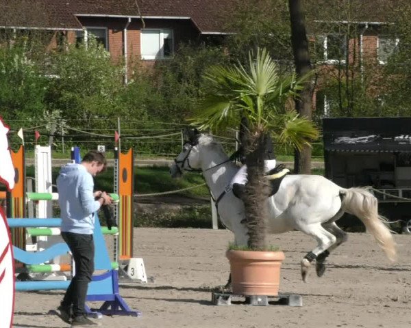Reitturnier Handorf 2023