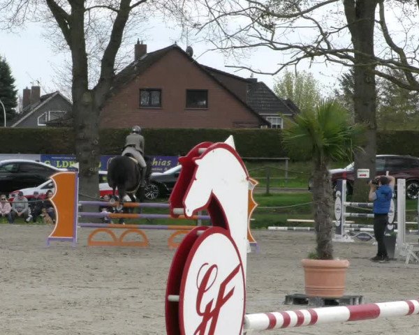 Reitturnier Handorf 2023