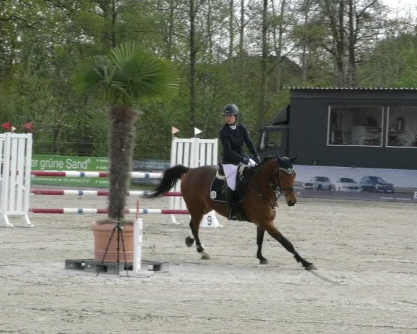 Reitturnier Handorf 2023