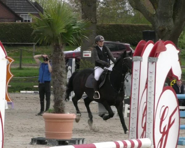 Reitturnier Handorf 2023