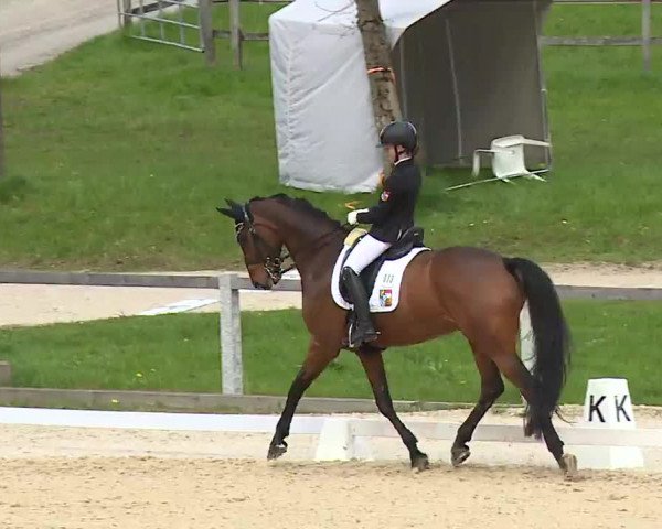 Reitturnier Gut Bohmerhof/Obb. 2023