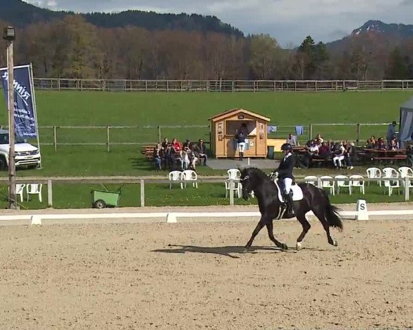 Reitturnier Gut Bohmerhof/Obb. 2023