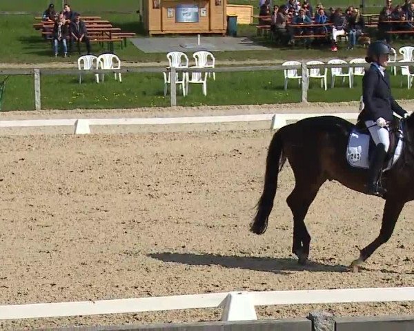 Reitturnier Gut Bohmerhof/Obb. 2023
