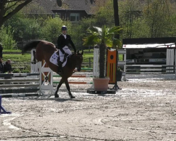 Reitturnier Handorf 2023