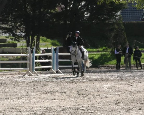 Reitturnier Handorf 2023