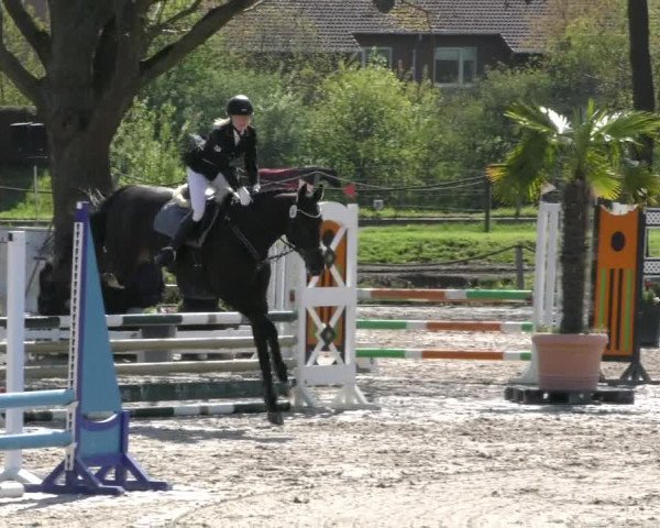 Reitturnier Handorf 2023