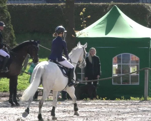 Reitturnier Handorf 2023