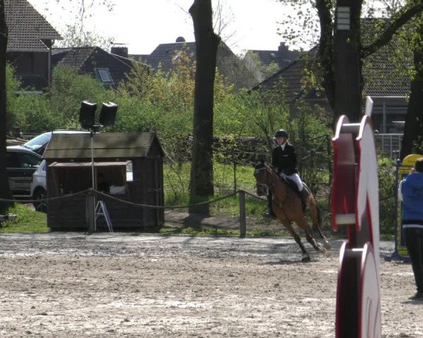 Reitturnier Handorf 2023