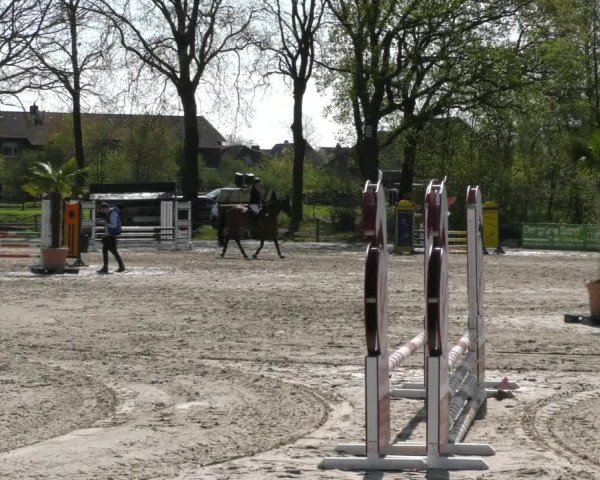 Reitturnier Handorf 2023