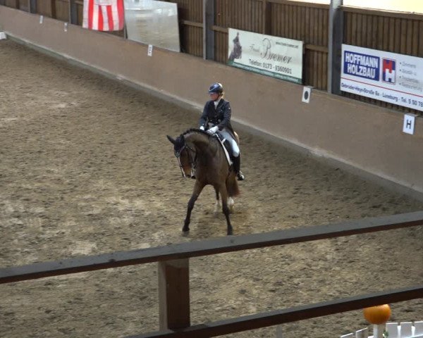 Reitturnier Scharnebeck 2021
