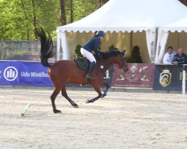 Reitturnier Karlsfeld 2023