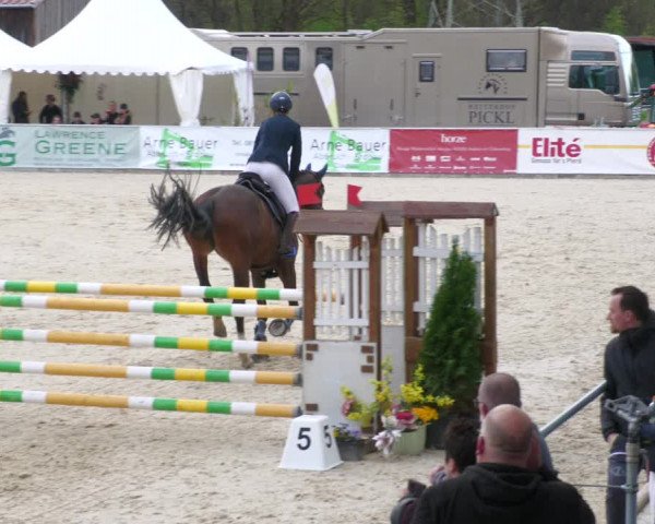 Reitturnier Karlsfeld 2023