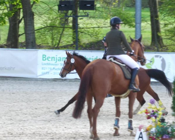 Reitturnier Karlsfeld 2023