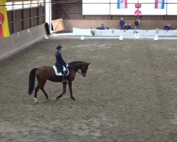 Reitturnier Scharnebeck 2021